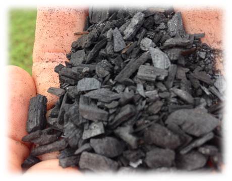 Biochar in hand