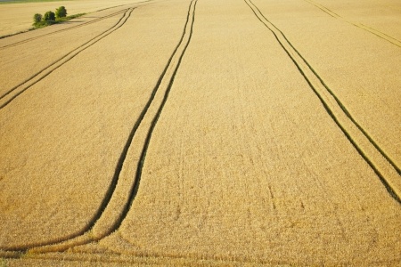 Farmland crop wastes