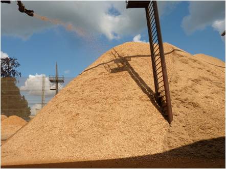 Sawdust pile