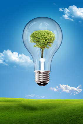 Opportunity to go green makes green