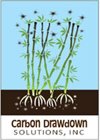 Logo footer